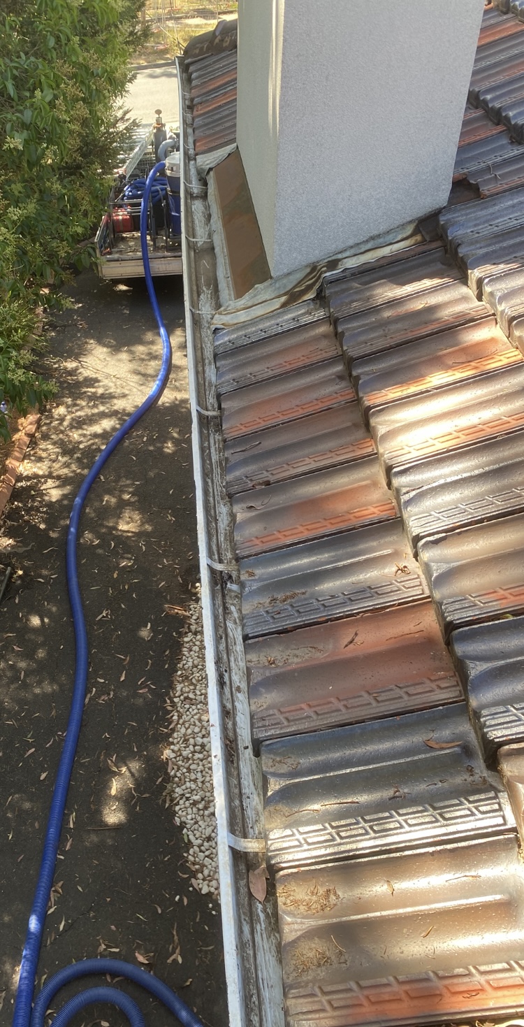 Balwyn after gutter cleaning