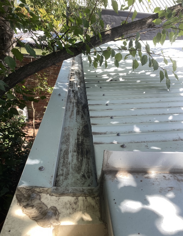 Doncaster after gutter cleaning