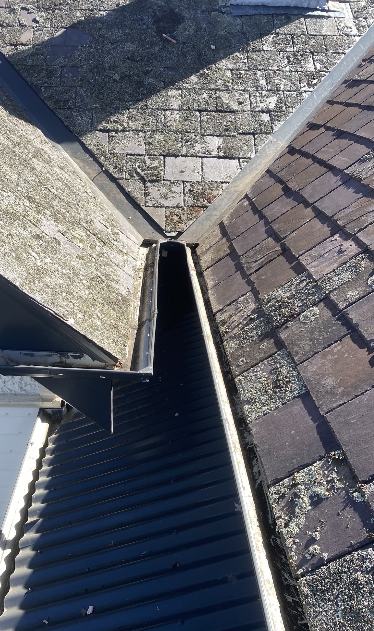 Kew after gutter cleaning