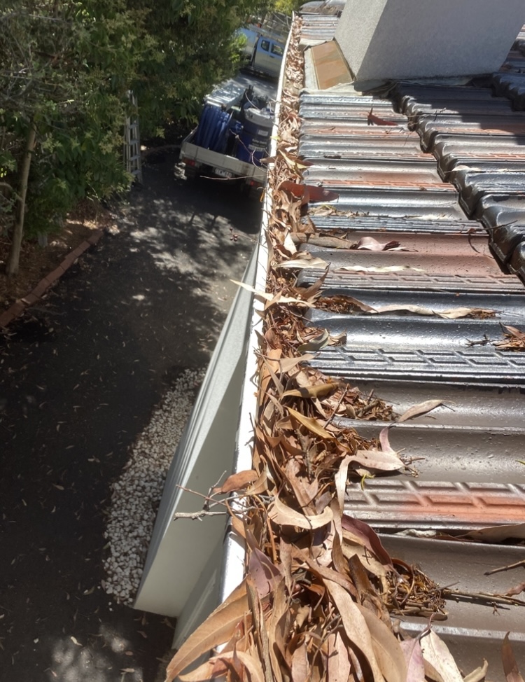 Balwyn before gutter cleaning