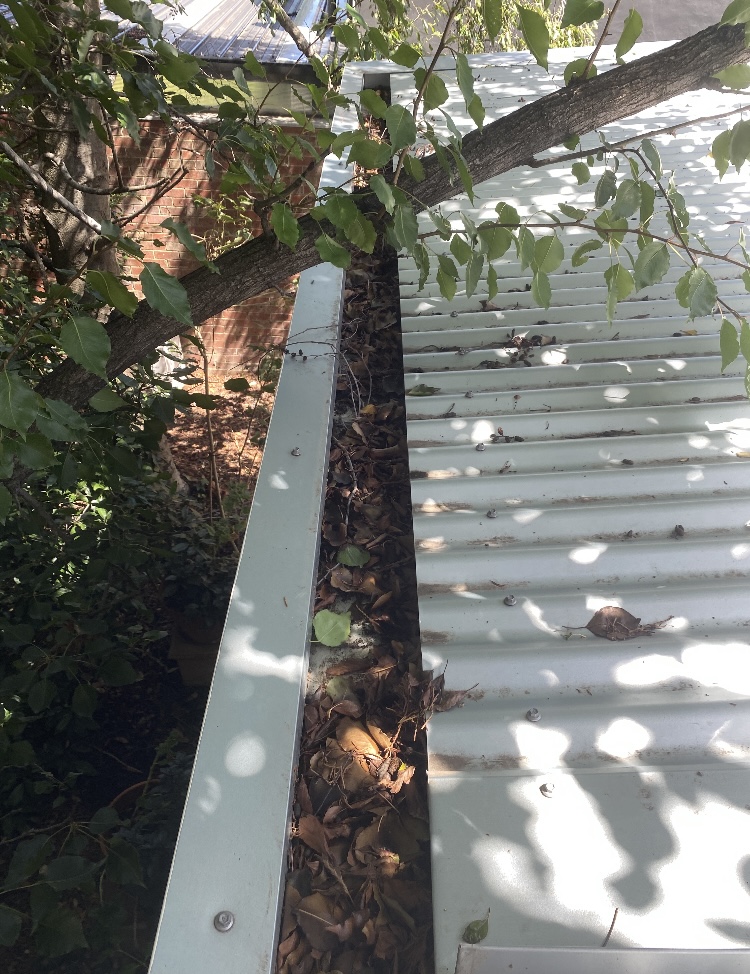 Doncaster before gutter cleaning