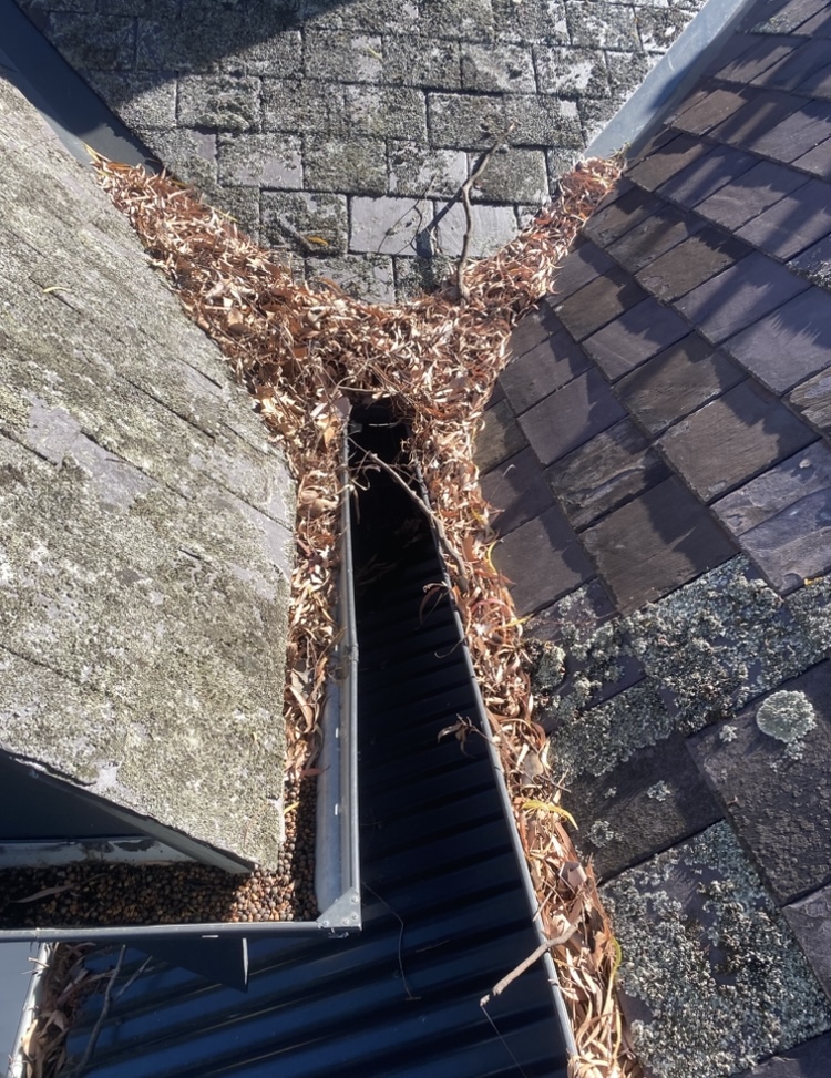Kew before gutter cleaning